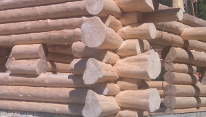 VonjPoLesu 1 • Natural Log House