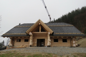 Davca 1 • Natural Log House