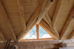 Davca 3 • Natural Log House