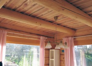 Moderna nevpadljiva brunarica Masivne lesene hise Natural log house 11 &bull; Natural Log House